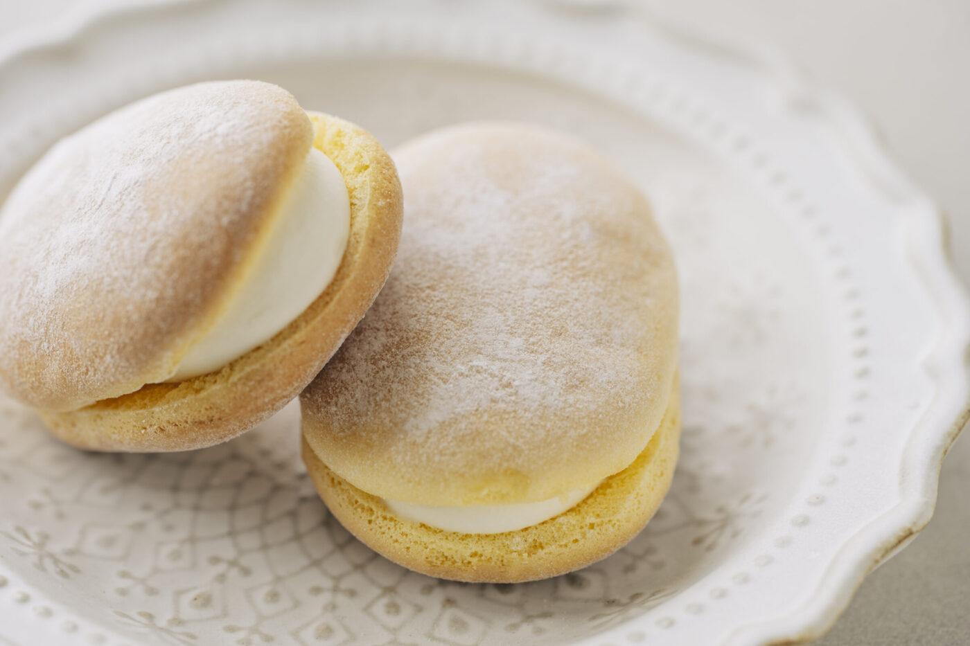 カマンベルンフェア | お知らせ | SWISS洋菓子店